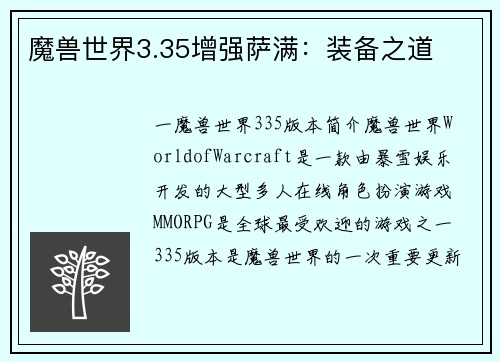 魔兽世界3.35增强萨满：装备之道