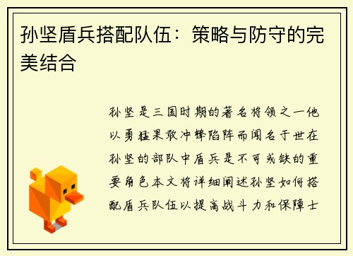 孙坚盾兵搭配队伍：策略与防守的完美结合